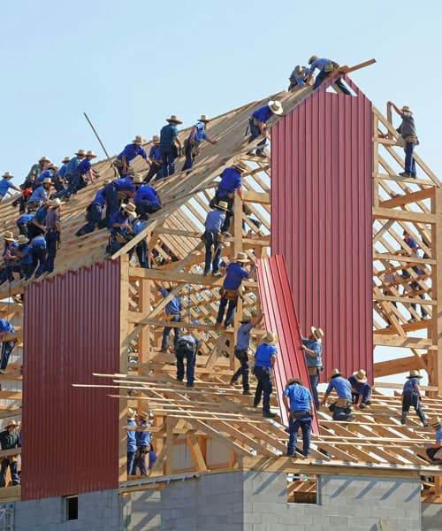 Project Consultation